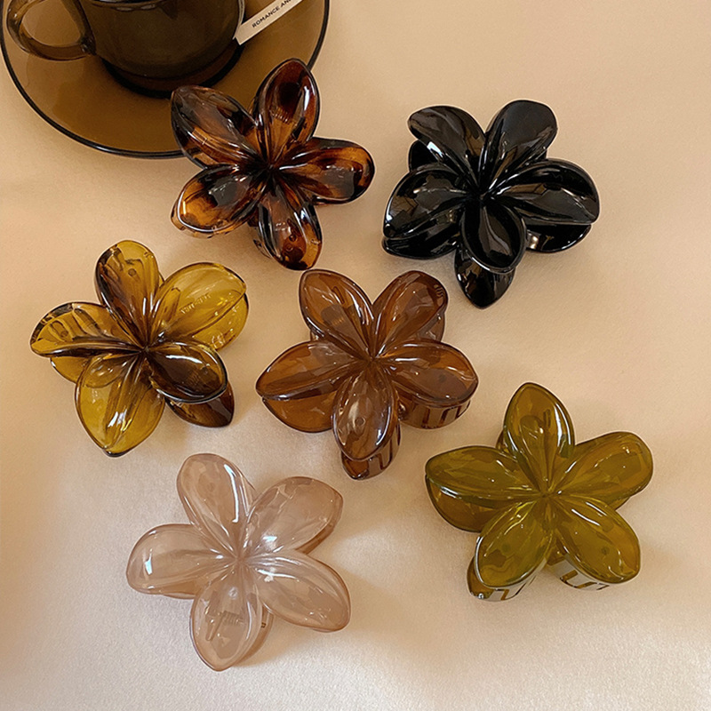 Women's Large-Size 8cm Brown B - Hair Clip Claw Large recensie en prijs